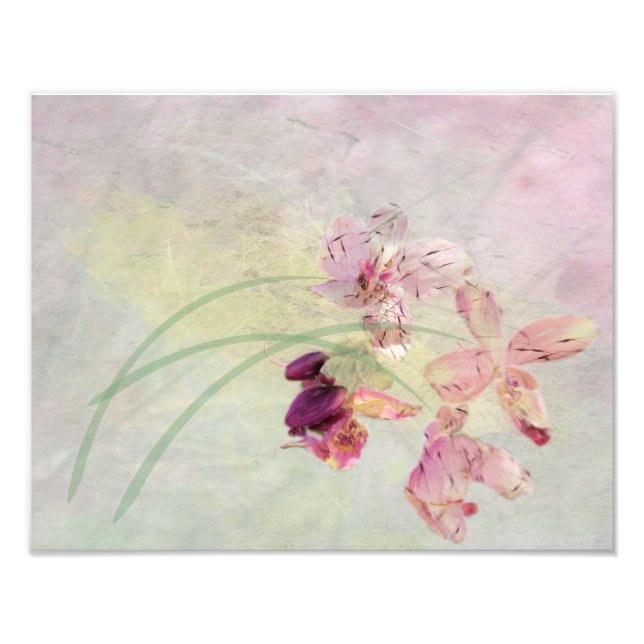 Sommerwind Fotodruck (Vorne)