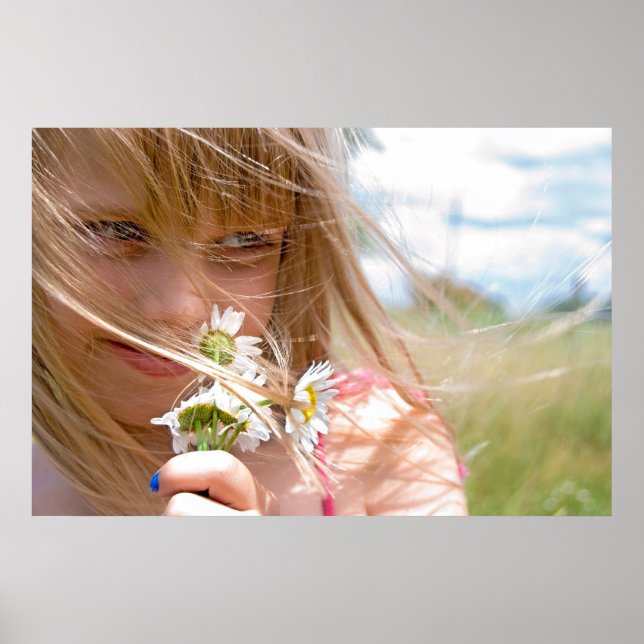 Sommerwind Poster (Vorne)