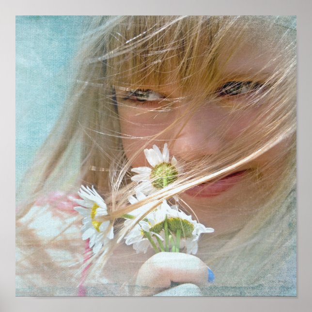 Sommerwind Poster (Vorne)