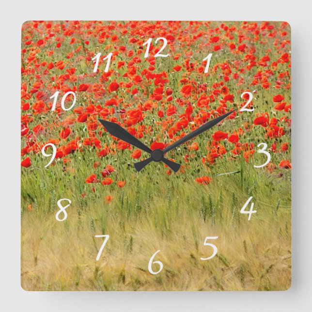 Sommerzeit-Blume Quadratische Wanduhr (Vorderseite)