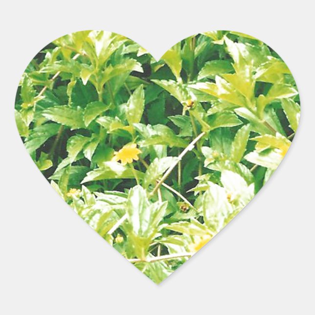 Sommerzeit-Blume und Pflanze Herz-Aufkleber (Vorderseite)
