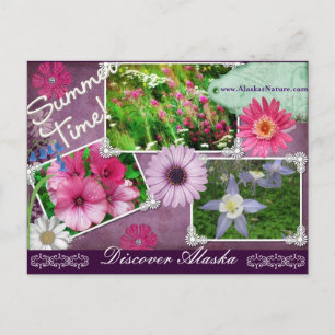 Sommerzeit in Alaska Postkarte