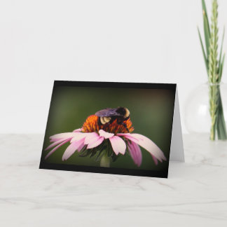 "Sommerzeit in Texas! " Karte