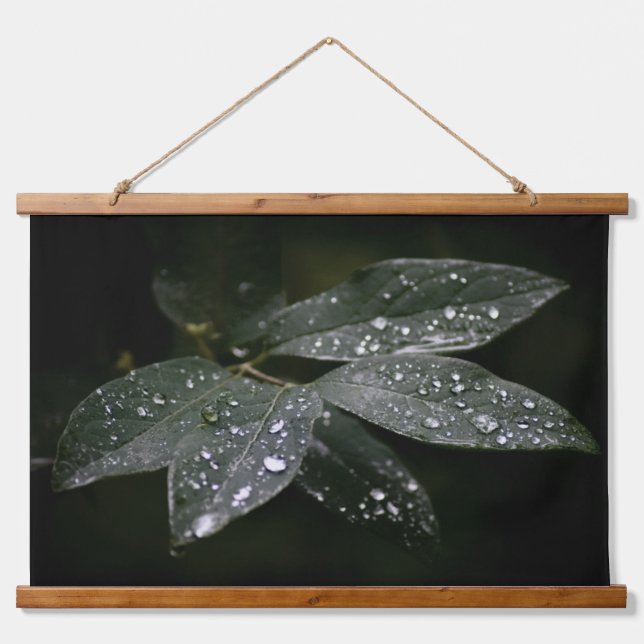 Sommerzeit Silver Raindrops auf dunkelgrünen Blätt Wandteppich Mit Holzrahmen (Vorne)