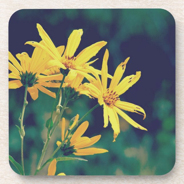 Sommerzeit-Wildblumen Getränkeuntersetzer (Vorderseite)