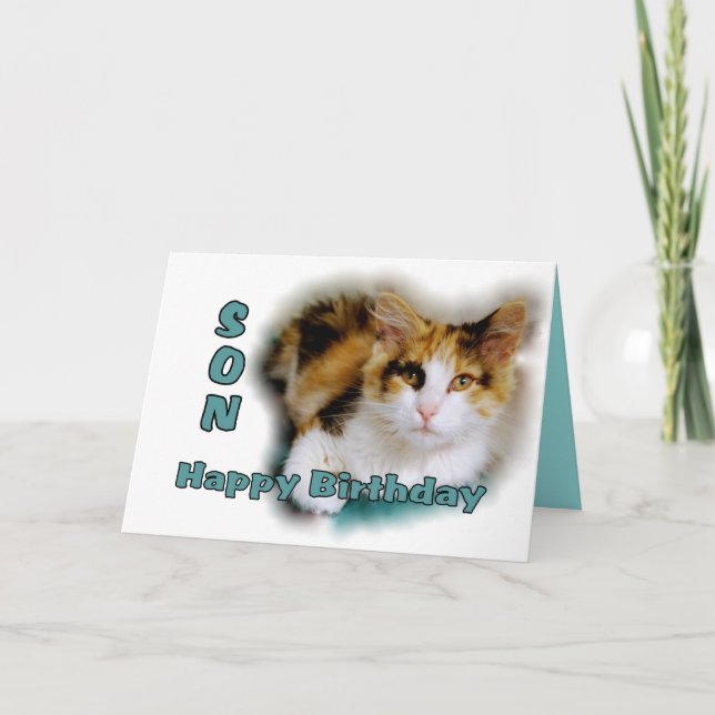 Son Happy Birthday Calico Cat Card Karte (Vorderseite)