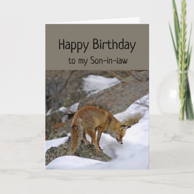 Son-in-Schwiegereltern Wonderful Birthday Fox Karte (Vorderseite)