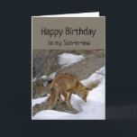 Son-in-Schwiegereltern Wonderful Birthday Fox  Karte<br><div class="desc">Spaß Son-in-Schwiegertag Sie verdienen Wonderful Birthday Fox schauen aufmerksam auf etwas.  Eine tolle Karte für jemanden,  der Tiere und Füchse Liebe.</div>
