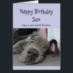 Son Social Diststanz Geburtstag Großer Dane Hund<br><div class="desc">Funny Social Distancing Geburtstagskarte für Ihren Sohn mit einer niedlichen Ruhepause, um sich herum zu legen, nichts tun Great Dane Hund. Inside verse Verse: Das Partys sollte in diesem Jahr nicht übertrieben werden. Eine tolle Karte für jene Person, die einen Sinn für Spaß hat, oder für einen, der große Dänen,...</div>