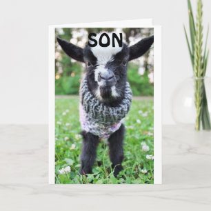 *SON* STOPPING AM BIRTHTAG, UM GLÜCKLICH ZU SAGEN KARTE