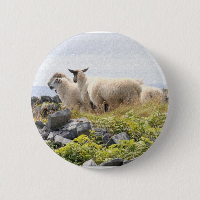 Sonderbare Designs - Schafe auf einem Feld Button (Vorderseite)