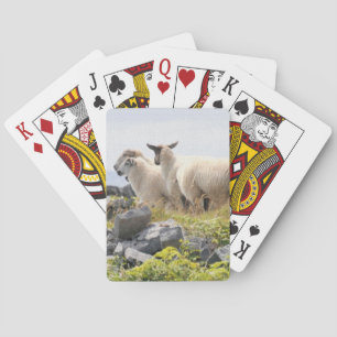 Sonderbare Designs - Schafe auf einem Feld Spielkarten