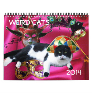 SONDERBARE KATZEN 2014 KALENDER