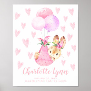 Sonderlieferwagen Bunny Rabbit Baby Stats Poster