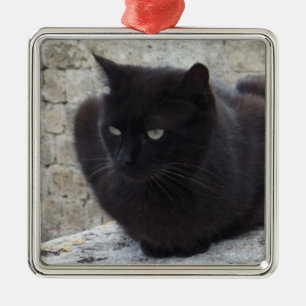 Sonderschmuck für die Black Cat Silbernes Ornament