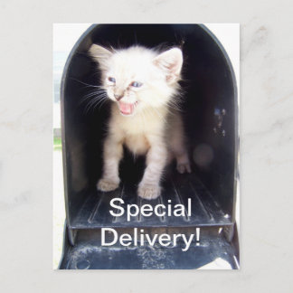 Sonderzustellung kitschiger Postkarte