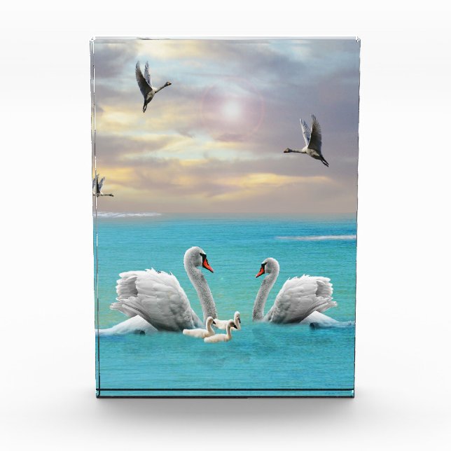 Song Of The White Swan Fotoblock (Vorderseite)