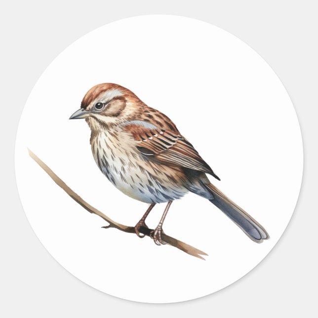 Song Sparrow Bird Stickers (Vorderseite)