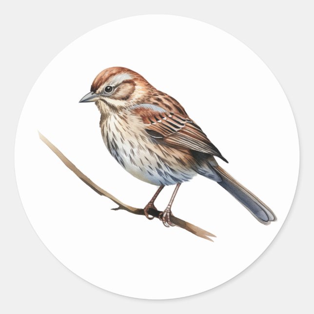 Song Sparrow Bird Stickers (Vorderseite)