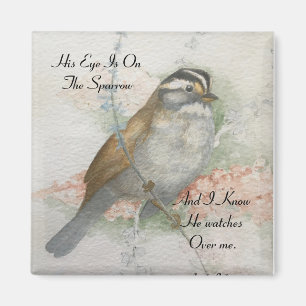 Song Sparrow, den er mir über mein Bibelangebot sc Magnet