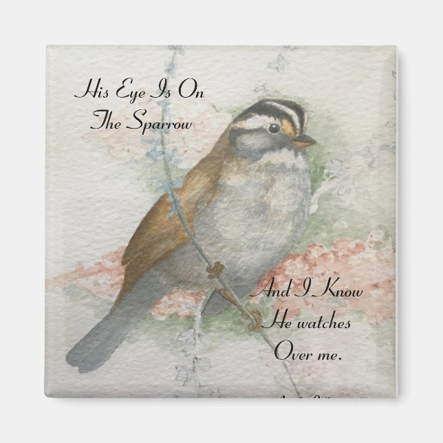 Song Sparrow, den er mir über mein Bibelangebot sc Magnet (Vorne)
