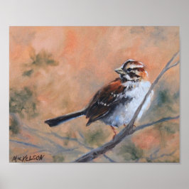 Song Sparrow Fine Art Print Poster