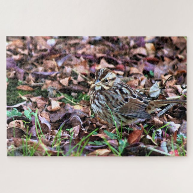 Song Sparrow Puzzle (Horizontal)