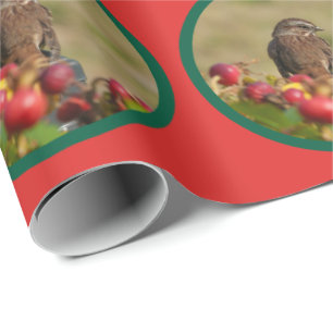 Song Sparrow und Rosenhippen Feiertag Geschenkpapier