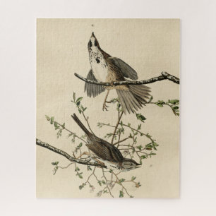 Song Sparrow von Audubons Vögeln von Amerika Puzzle