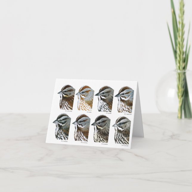 Song Sparrows Karte (Vorderseite)