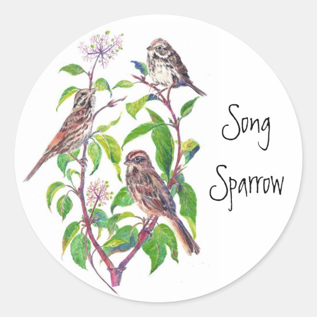 Song Sparrows Runder Aufkleber (Vorderseite)