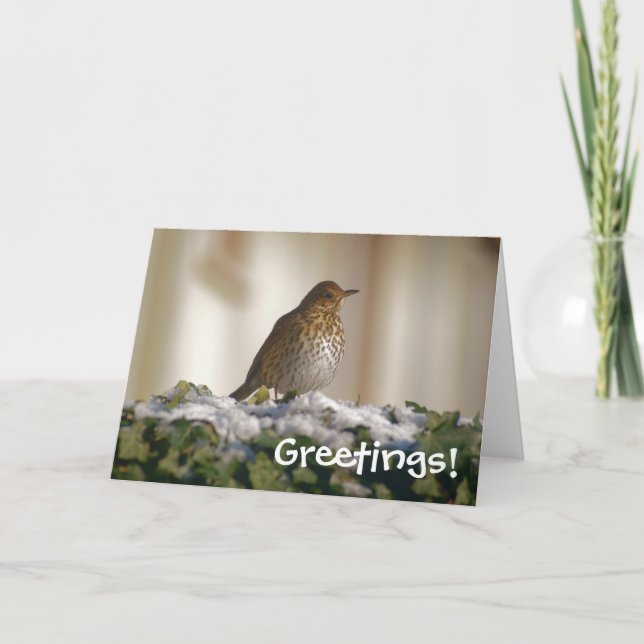 Song Thrush Greetings Card Feiertagskarte (Vorderseite)