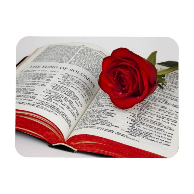 Song von Solomon Geschenk Premium Magnet (Horizontal)