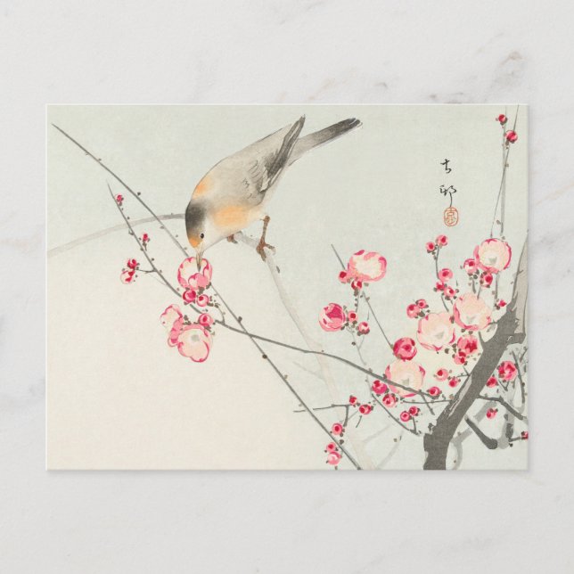 Songbird auf Blossom Branch Painting von Ohara Kos Postkarte (Vorderseite)