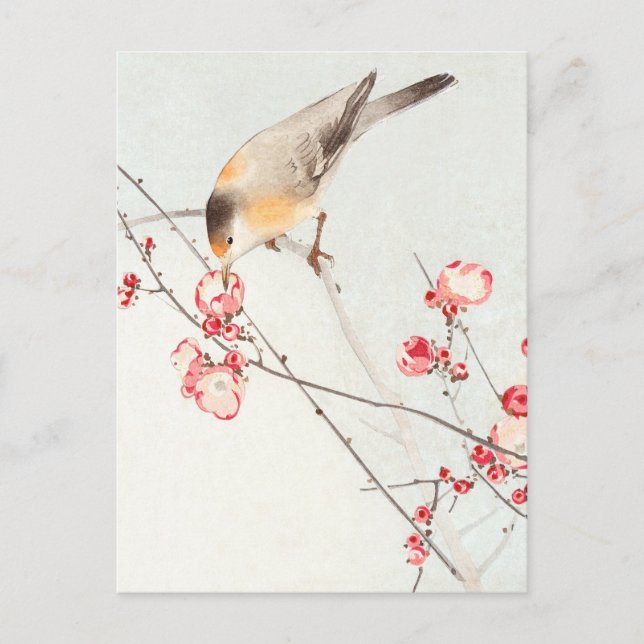 Songbird auf blühenden Zweigen - Ohara Koson - ver Postkarte (Vorderseite)