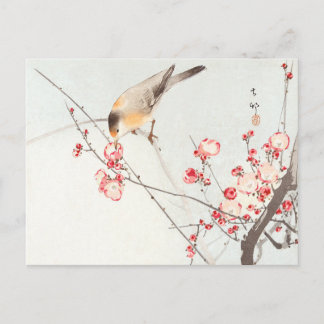 Songbird auf Blütenzweig - Ohara Koson - Art Postkarte