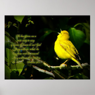 Songbird Inspiration Poster