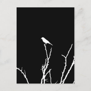 Songbird Night Postkarte