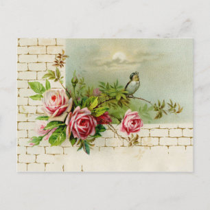 Songbird und Rose Postkarte