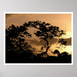 Sonne-Beobachter Poster