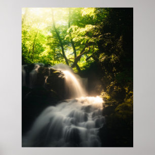 Sonne, die auf einem magischen Wasserfall strahlt Poster