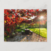 Sonne durch Herbstblätter, Kroatien