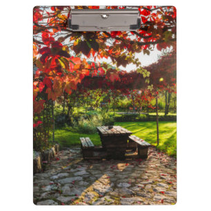 Sonne durch Herbstlaub, Kroatien Klemmbrett