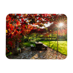 Sonne durch Herbstlaub, Kroatien Magnet