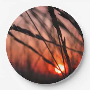Sonne im Gras, Teller 10 cm