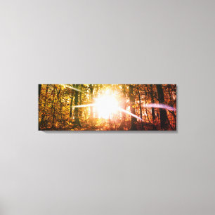 Sonne im Herbstwald Leinwanddruck