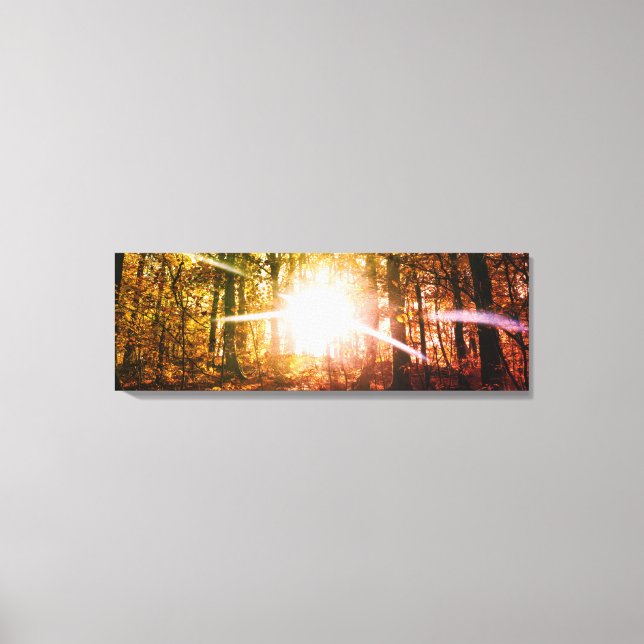 Sonne im Herbstwald Leinwanddruck (Vorderseite)