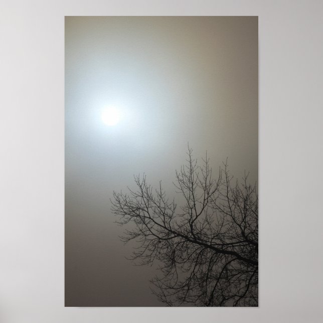 Sonne, Nebel, Baum - Ohio Poster (Vorne)