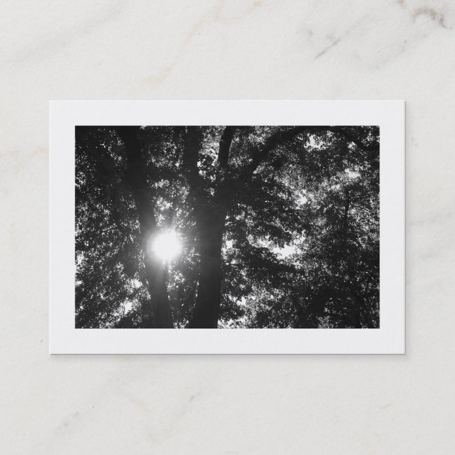 Sonne strahlt durch Bäume B&W Visitenkarte (Vorderseite)