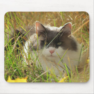 Sonne tanken. mousepad